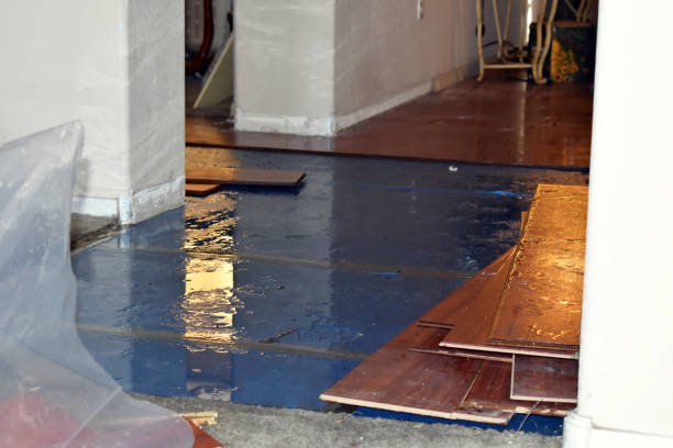 Professional Burst Pipe Cleanup technician working in Stilwell, KS